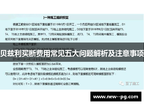 贝兹利买断费用常见五大问题解析及注意事项