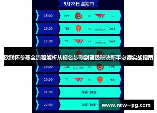 欧联杯参赛全流程解析从报名步骤到晋级秘诀新手必读实战指南
