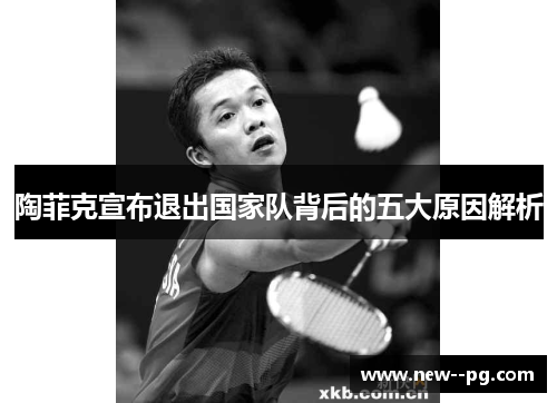 陶菲克宣布退出国家队背后的五大原因解析
