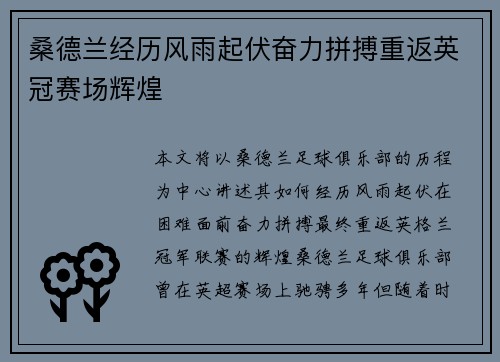桑德兰经历风雨起伏奋力拼搏重返英冠赛场辉煌